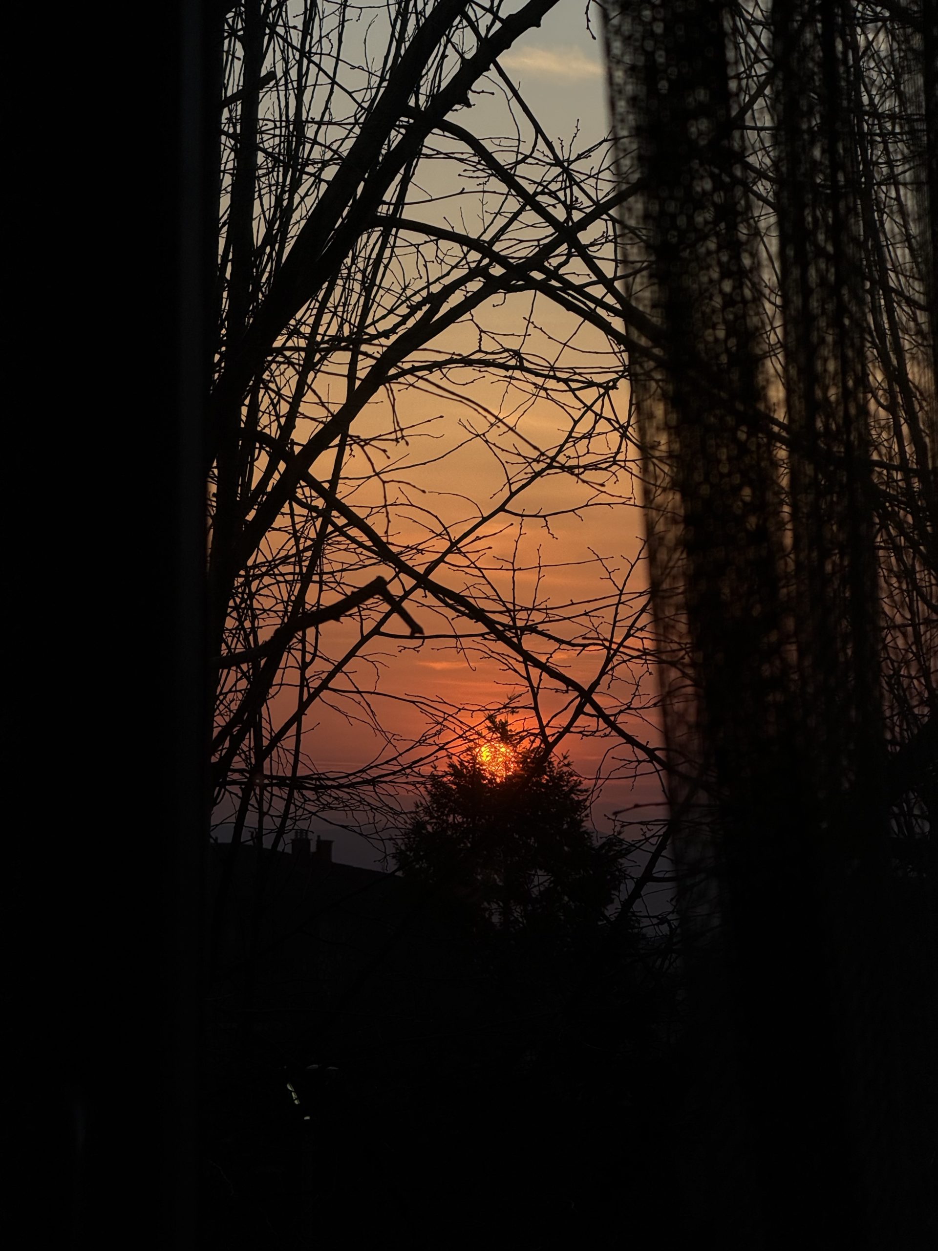 Krejt tjerat në qiell, e arsyet në tokë