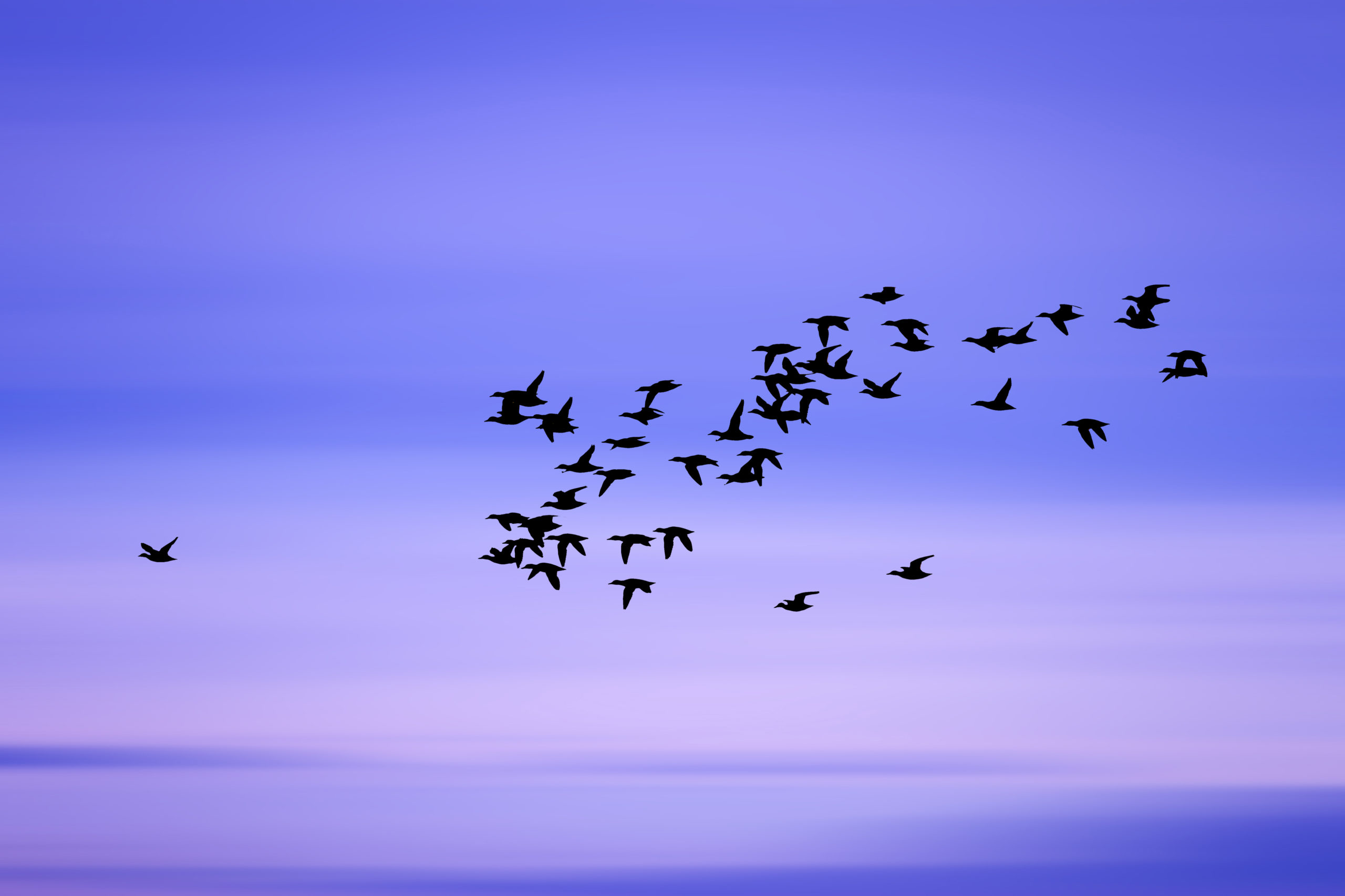 Lufta për të vërtetën gjithmonë ja vlen! Ky është lajmi më i rëndësishëm n’Kosovë